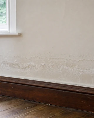 Rising damp tide marks above skirting